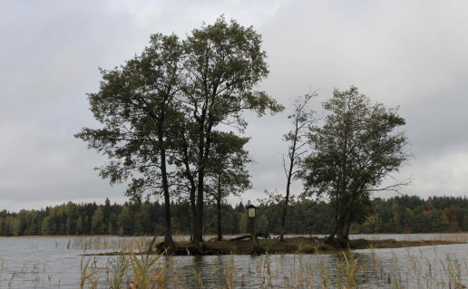 16_Soncelio sala. S.Kvasinsko n (2).jpg